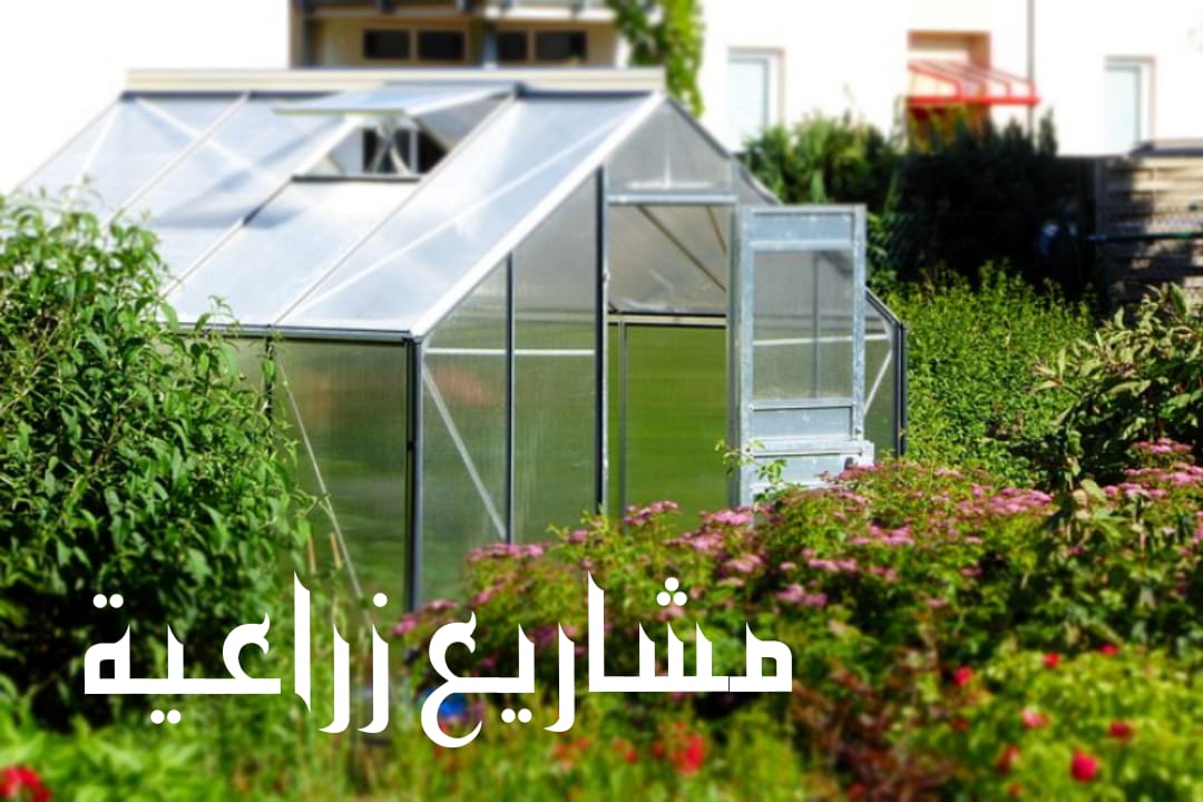 مشاريع زراعية